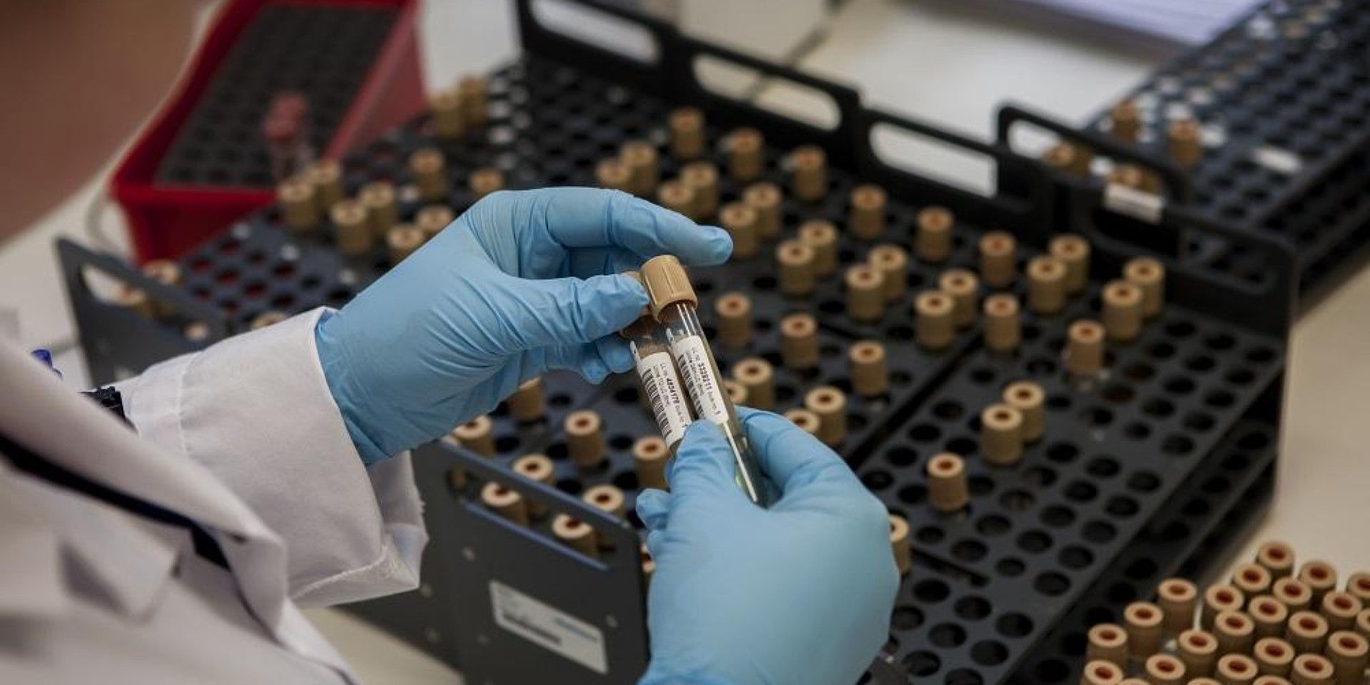 lab lifelines