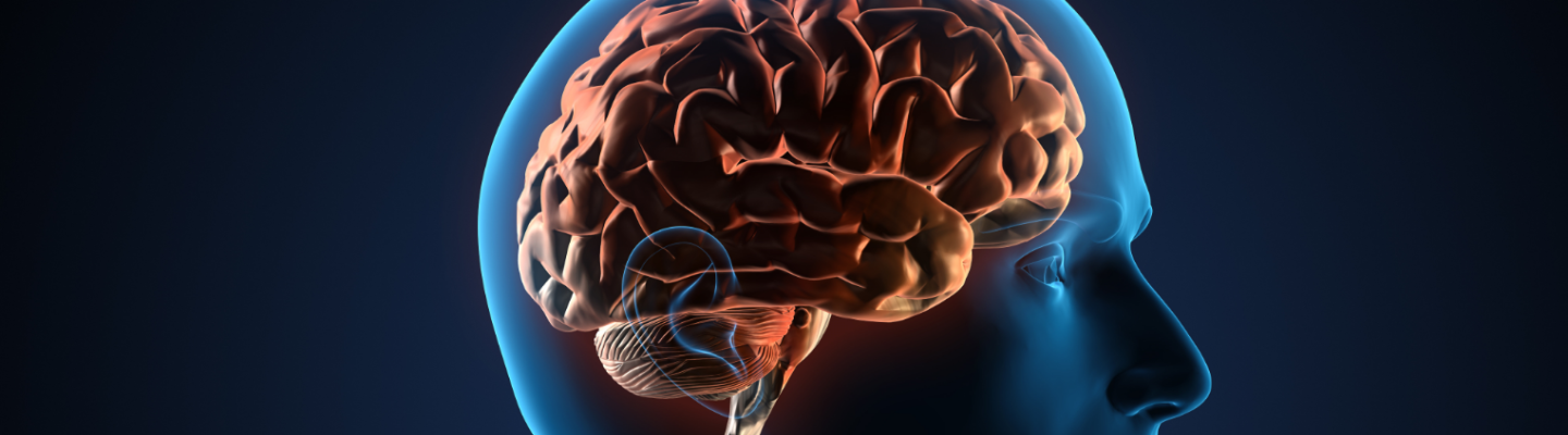 Extra onderzoek: Geheugentest