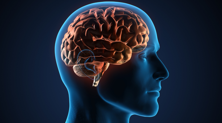 Zwangerschap en mentale gezondheid